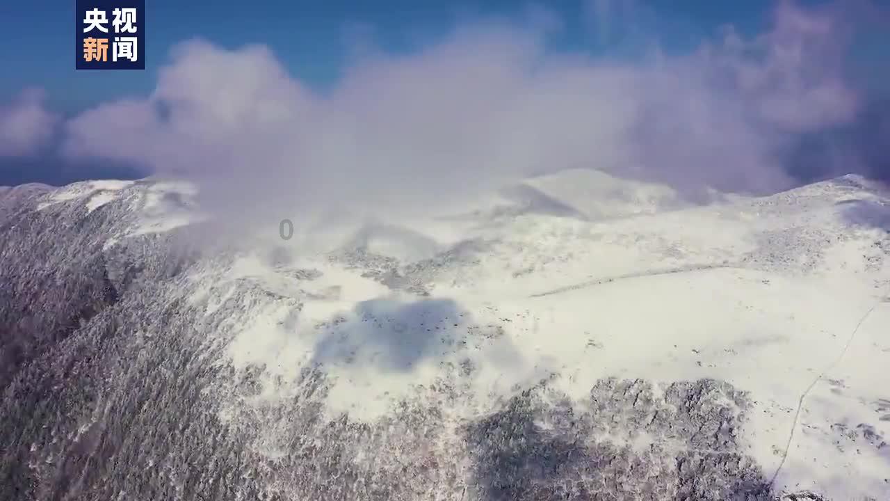 央视“古韵新风”栏目记者真人数字人如何穿越古今感受五千年前良渚文化？