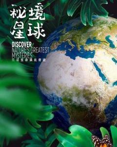 家庭早教要生活化，人性化的具体方法有哪些？游戏画面