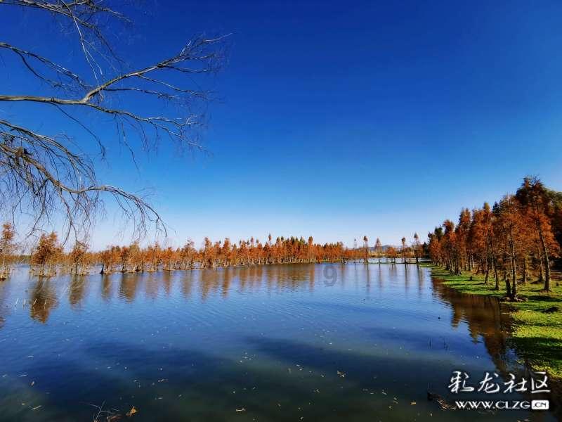 上世纪60年代，激励一代人的大寨“铁姑娘”郭凤莲，现在过得怎样