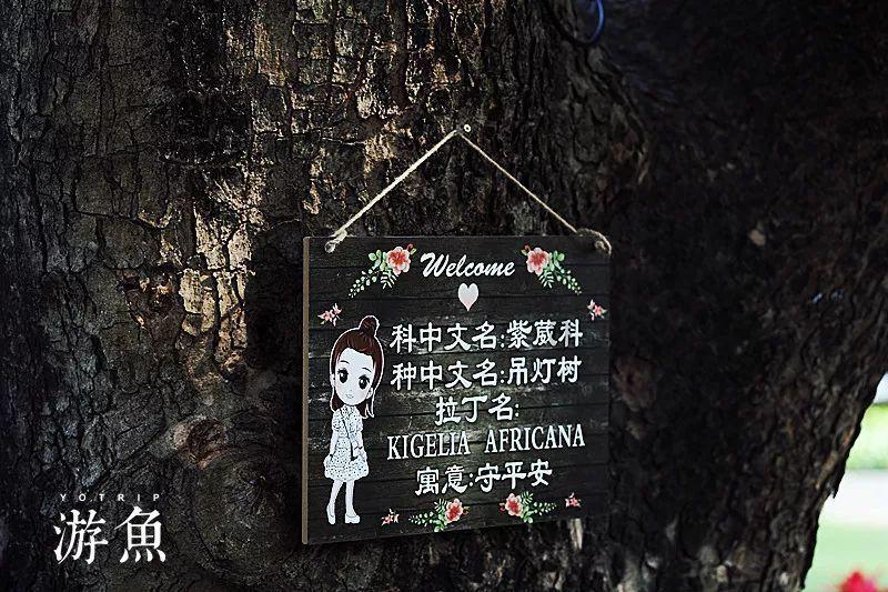 【文化润警】海南州公安机关第三届书画摄影展