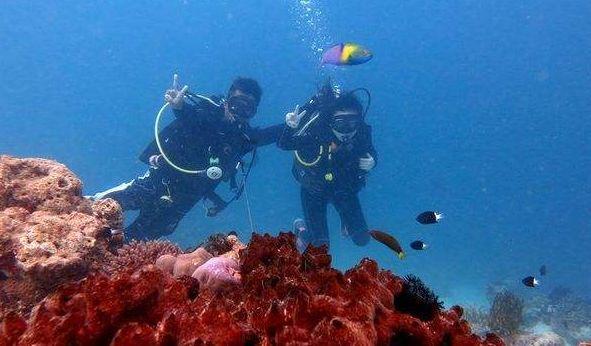 18米高的巨型花仙子灯绘亮相大观公园