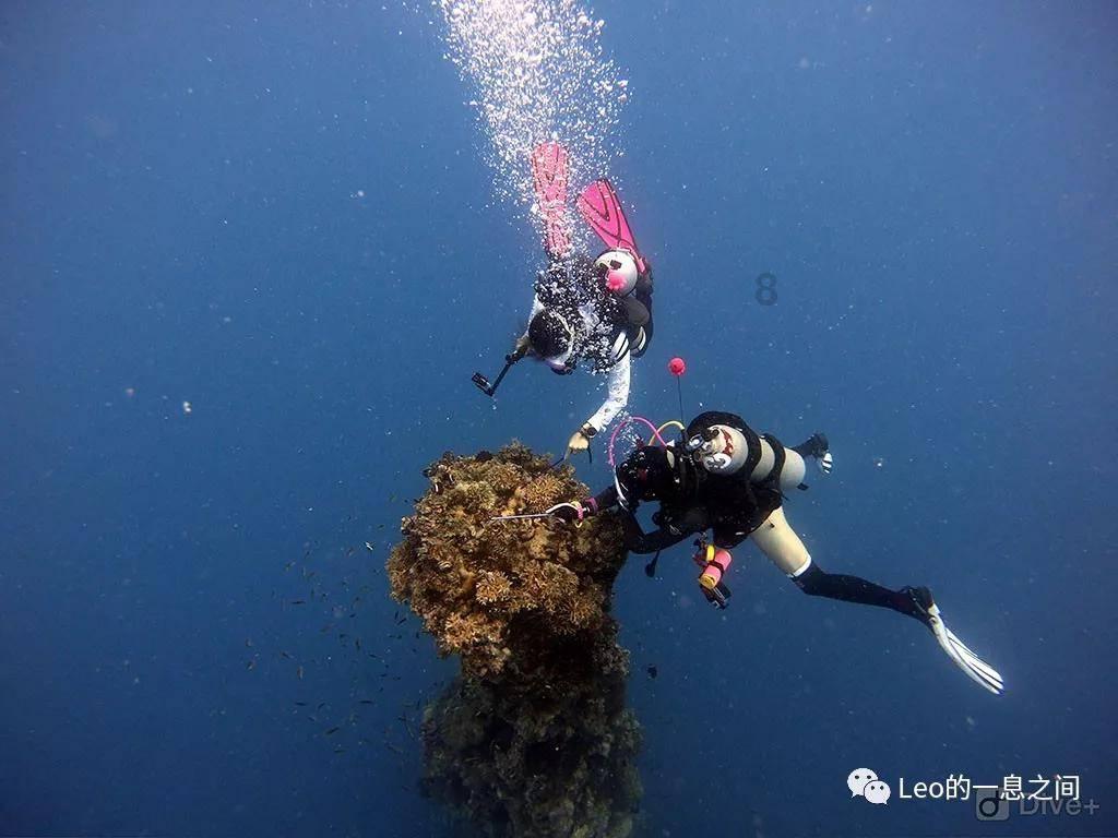 标致408巡航定速拆除知识星球平台,全面深入了解标致408巡航定速拆除