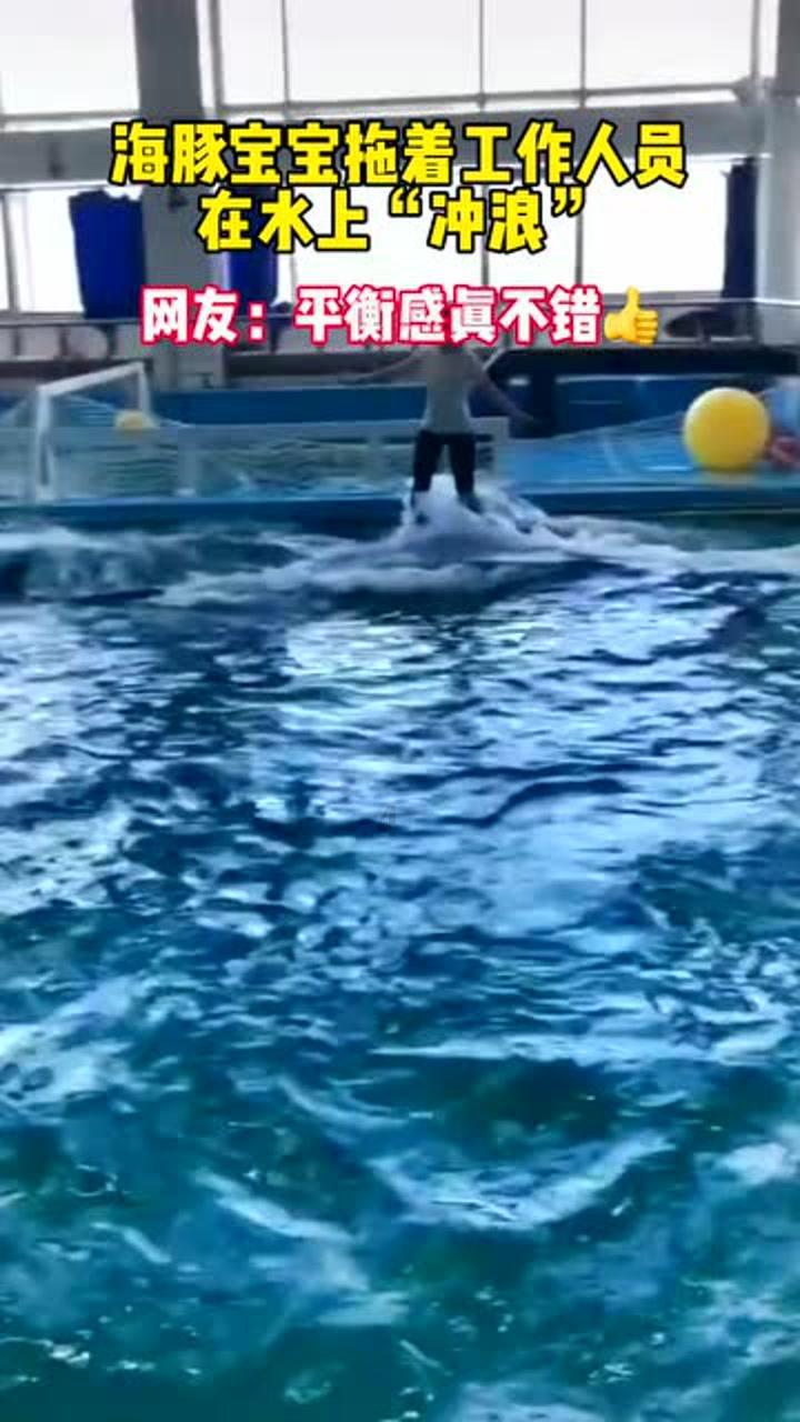 救援蝙蝠
