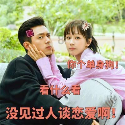逗小猴开心系列195