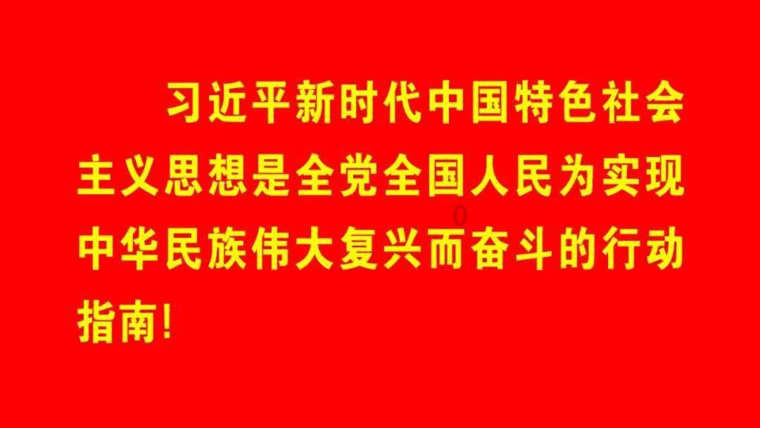 袋鼠兄弟2