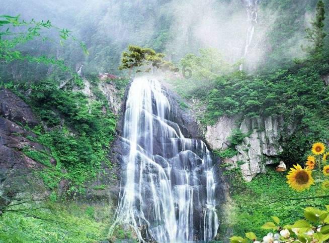 酷老师的教室