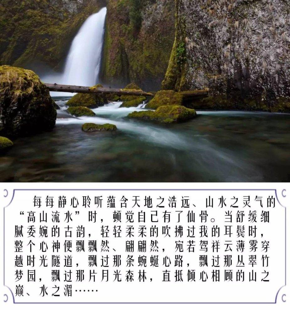 贝儿公主的晚礼服