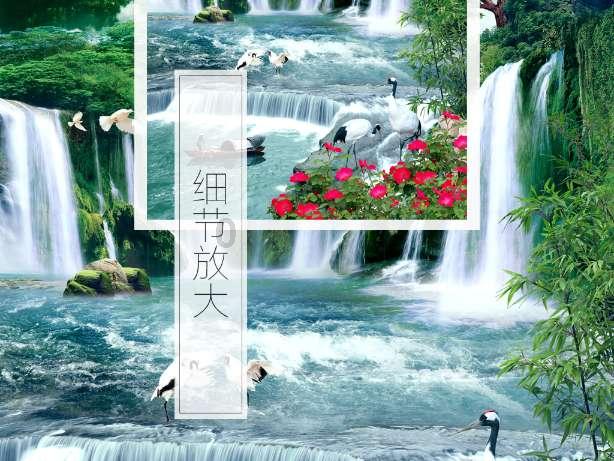 遇见福建：樱花绽放引游人