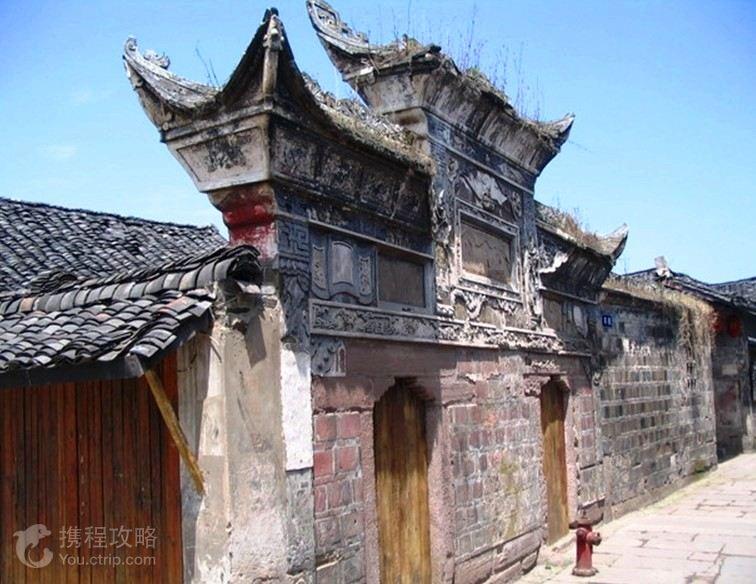 救援蓝色小鱼