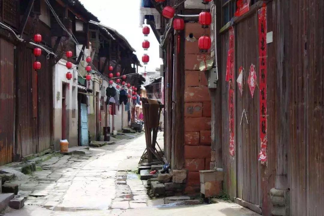 喀麦隆主帅：我和门将之间没有矛盾，他们都随时做好上场准备
