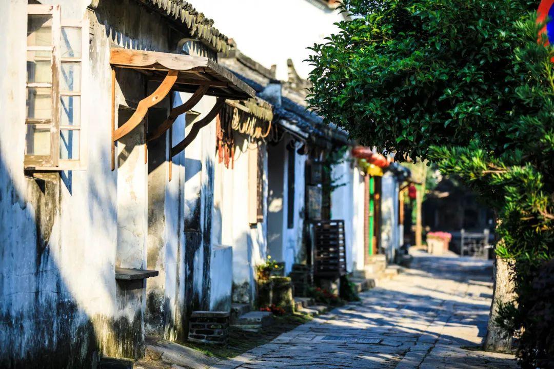 数字经济百强企业过半数位于南宁市