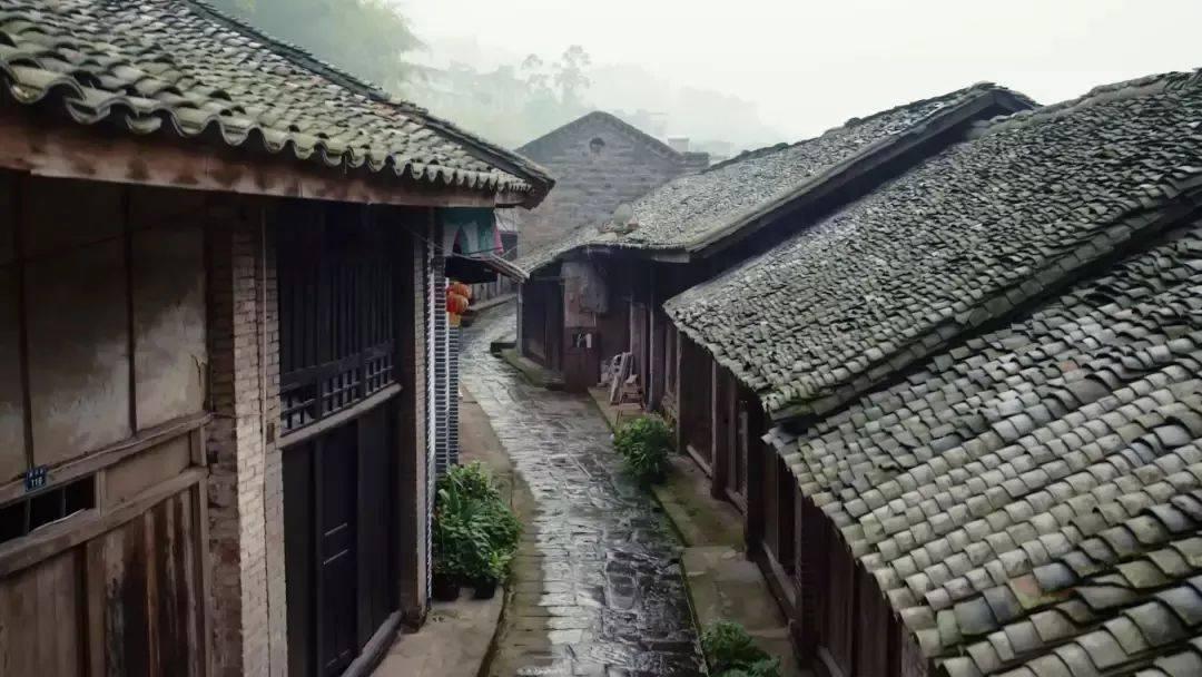 守卫木鱼