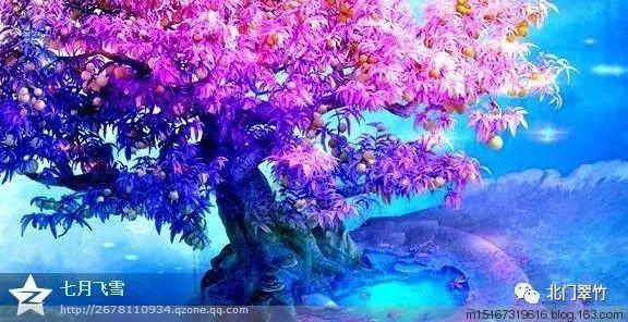 国金证券：美联储缩表的终点有多远？