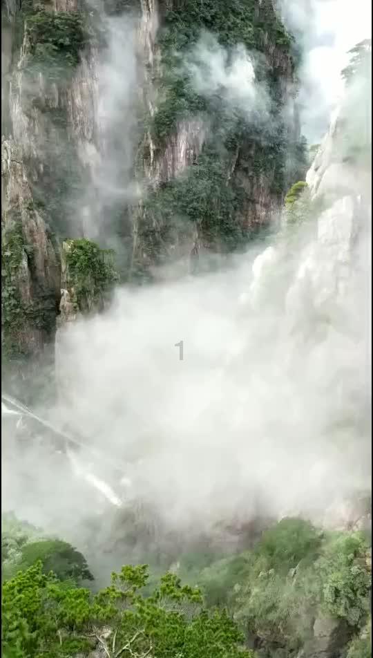 探索猫和兔子可以在一起养吗?,解答你的疑问